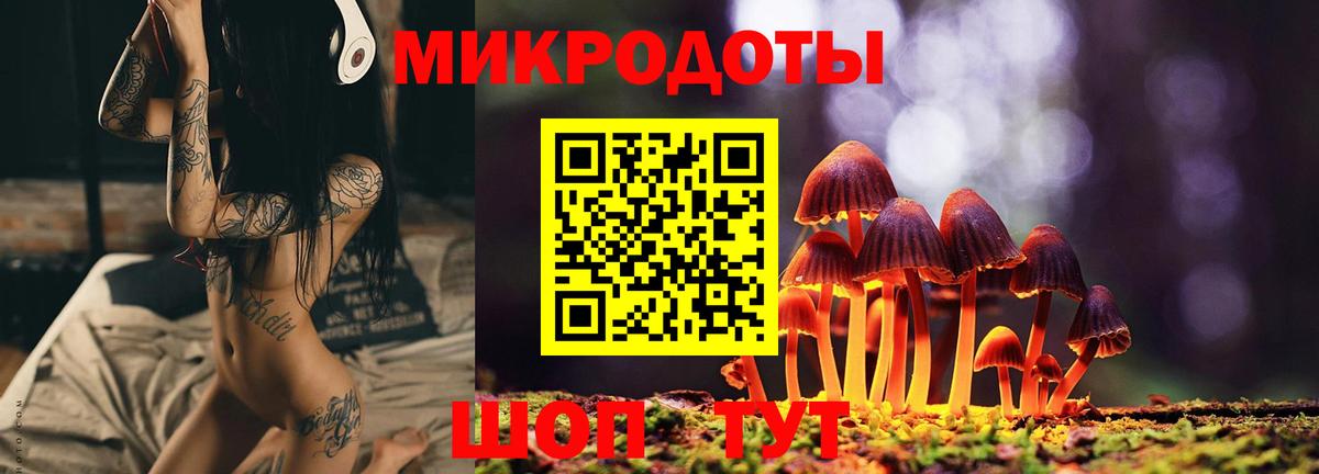 Химки  Псилоцибиновые грибы Psilocybe  Вход с VPN 